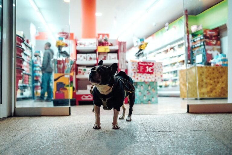13 Major Stores Dog Policies (2023 Update)