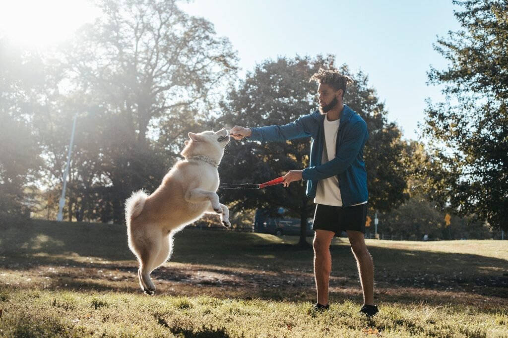 A man in blue shirt training his dog
