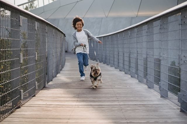 A kid running with a puppy on a bridge