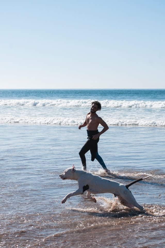 A man running with its dog on the sea shore