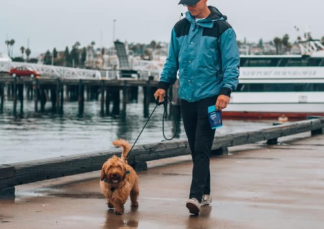 A man in blue jacket walking along its dog