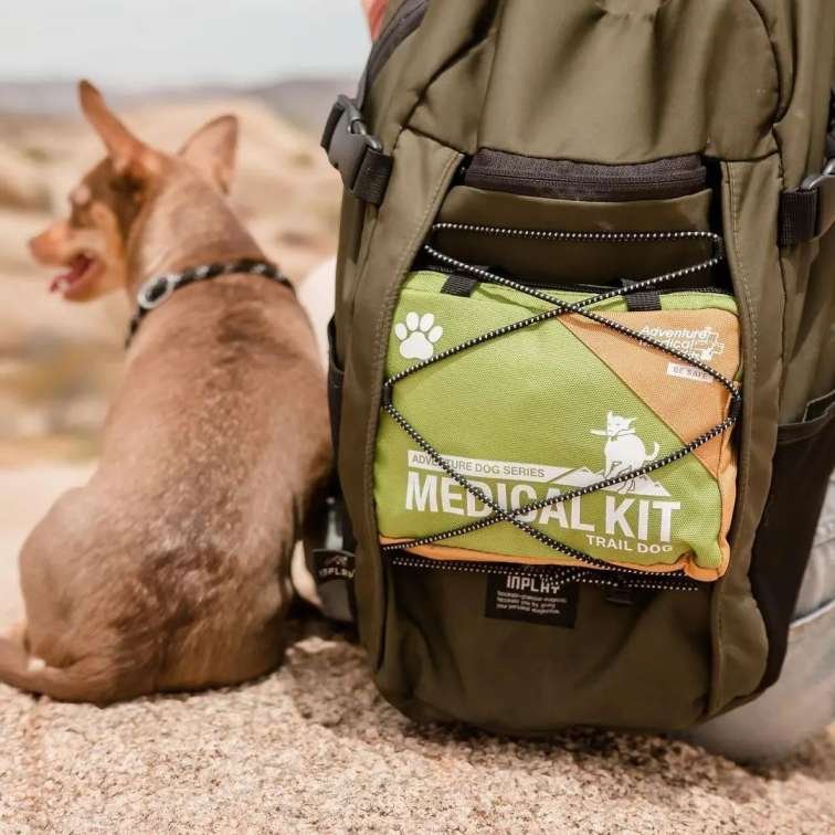 A dog sitting with a bag having a medical kit